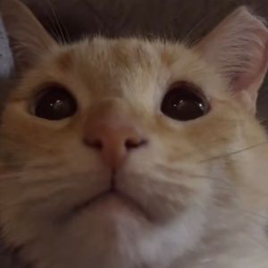 i’m not selling anything lol